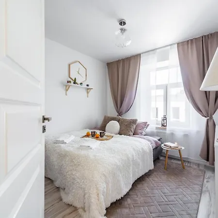 Bruninieku Street Studio Apartment Riga Exterior photo